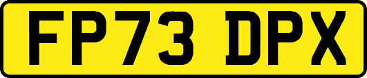 FP73DPX