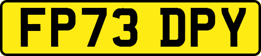 FP73DPY