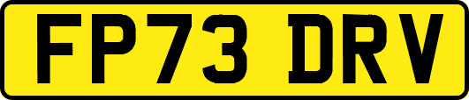 FP73DRV