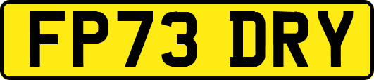 FP73DRY