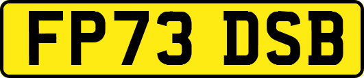 FP73DSB