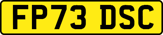FP73DSC