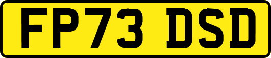 FP73DSD