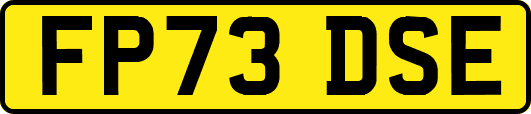FP73DSE