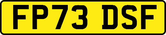 FP73DSF