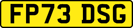 FP73DSG