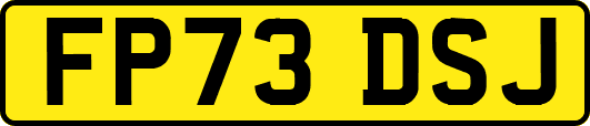 FP73DSJ