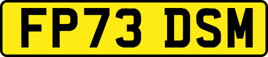 FP73DSM