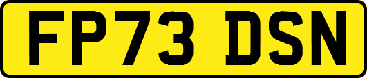 FP73DSN