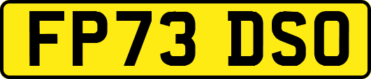 FP73DSO