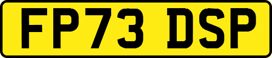 FP73DSP
