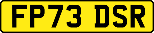 FP73DSR