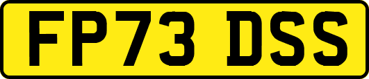 FP73DSS