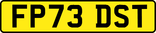 FP73DST