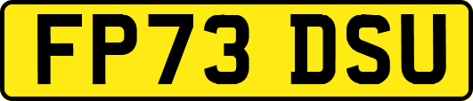 FP73DSU