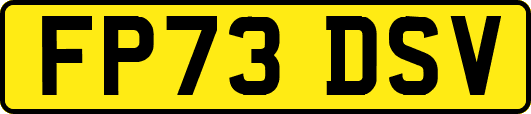 FP73DSV