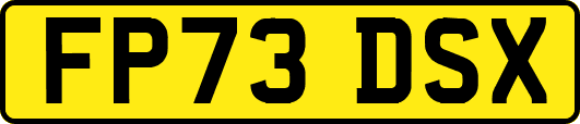 FP73DSX