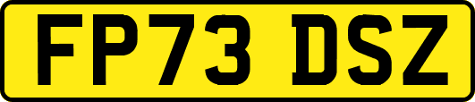 FP73DSZ