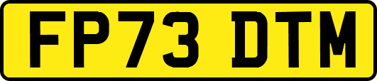 FP73DTM