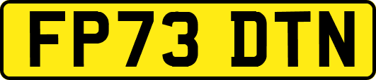 FP73DTN