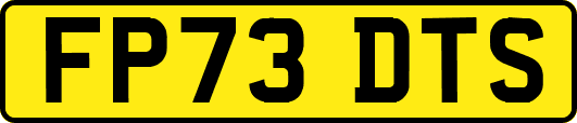 FP73DTS