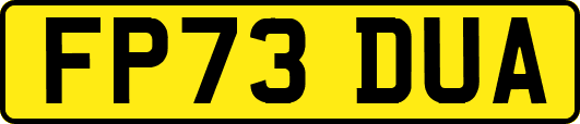 FP73DUA