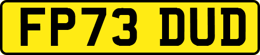 FP73DUD