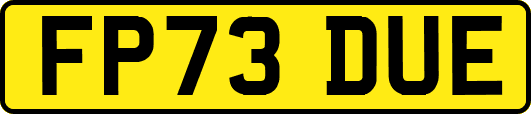 FP73DUE