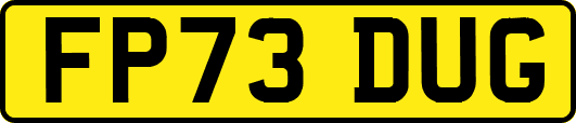 FP73DUG