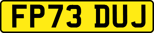 FP73DUJ