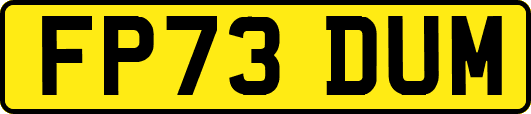 FP73DUM