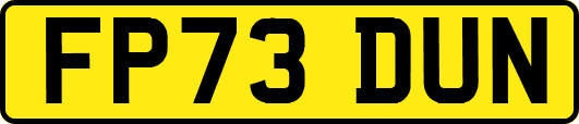 FP73DUN