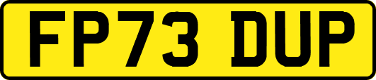 FP73DUP