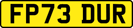 FP73DUR