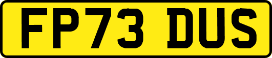 FP73DUS