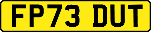 FP73DUT