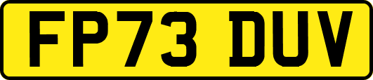 FP73DUV