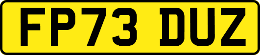 FP73DUZ