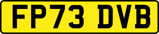 FP73DVB