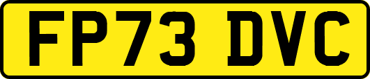 FP73DVC