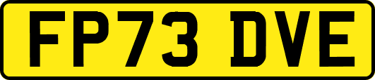 FP73DVE