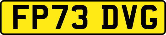 FP73DVG