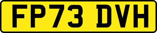 FP73DVH