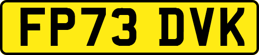 FP73DVK