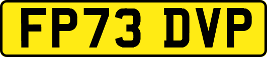 FP73DVP