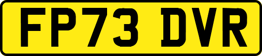FP73DVR