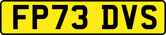 FP73DVS