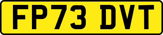 FP73DVT