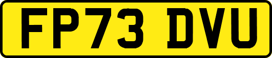 FP73DVU