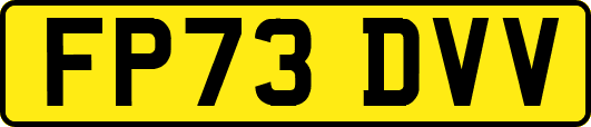 FP73DVV